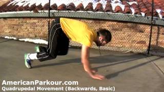 Quadrupedal Movement Backwards Basic  Parkour Training and Conditioning Exercise [upl. by Nnaeiluj588]