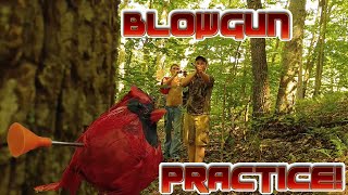 Blowgun Target Practice [upl. by Siradal]