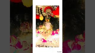 Ladoo gopal hit video mereapneladoo ladoogoapal barsana radha raslila religion barsanewali [upl. by Esmaria772]