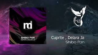 PREMIERE Cuprite amp Delara Ja  Shibo Pan Muse Department [upl. by Filomena]