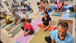 Yoga to Build Strength amp Focus  Hatha  Suryanamskar [upl. by Aihsei]