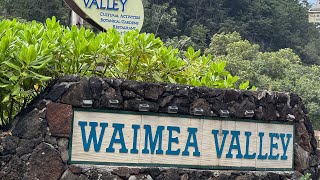 Waimea Valley Falls tour O’ahu Hawaii [upl. by Ylatfen686]