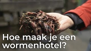 Hoe maak je een wormenhotel  Het Klokhuis [upl. by Wardlaw]