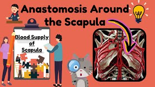 Anastomosis around the Scapula Explained in 2 MINUTES  Upper Limb Anatomy [upl. by Lilias]