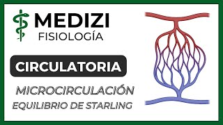 Clase 24 Fisiología CirculatoriaEquilibrio de Starling capilarMicrocirculación IGdoctorpaiva [upl. by Aihpledalihp]