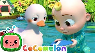 Five Little Ducks  CoComelon Furry Friends  Animals for Kids [upl. by Azzil]