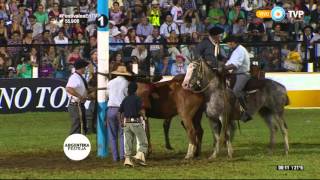 Jineteada en el Festival de Jesús María 2016 Tanda 3 [upl. by Sergeant]