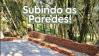 SUBINDO AS PAREDES  OFICINA NA CHÁCARA PT 7 [upl. by Constantia]