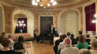 Schwanengesang  Franz Schubert [upl. by Oregolac]