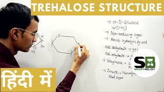 Trehalose structure in Hindi [upl. by Netloc]