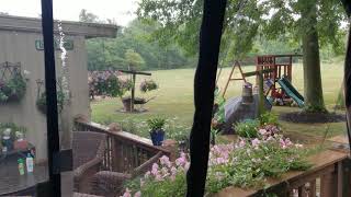 kozyard Gazebo in the rain with gutters [upl. by Nanon815]