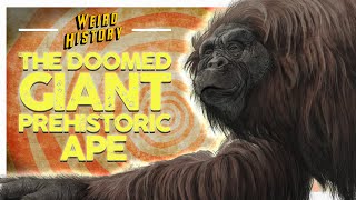 The Giant Prehistoric Ape Doomed By Its Own Coolness [upl. by Jens453]