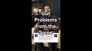 Gut Problems From the Spine [upl. by Meirrak49]