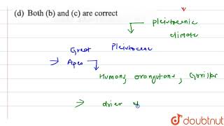 Hominids did not evolve until [upl. by Marrissa]