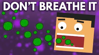 What Happens If You Breathe In Mold Spores [upl. by Ylecara]