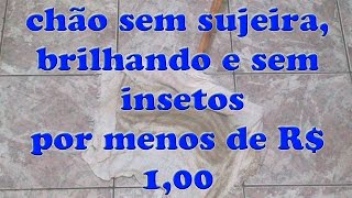 DESINFETANTE PARA DAR BRILHOPERFUMAR E ESPANTAR INSETOS DA SUA CASA POR MENOS DE 1 REAL [upl. by Allicserp]