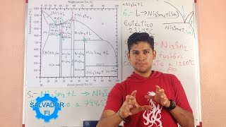 Reacciones Invariantes en Diagrama de Fases NiSn  Metalurgia  Salvador FI [upl. by Paulson]