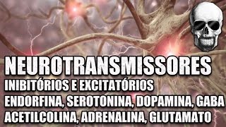 Vídeo Aula 147  Sistema Nervoso  Neurotransmissores Serotonina Dopamina e Endorfinas  Anatomia [upl. by Papst322]