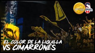 ¡EL COLOR DE LA LIGUILLA  DORADOS 10 CIMARRONES [upl. by Oinotnas926]