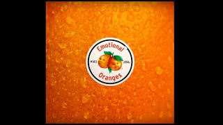 Emotional Oranges  Good To Me Lyric Video [upl. by Eladnwahs]