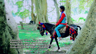 Mulu Bekele new song [upl. by Aennyl]