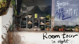 Room Tour석부작amp목부작 물주는 요령 이젠 과습이 지긋지긋해 밤의 정원놀이 투어 [upl. by Osei634]