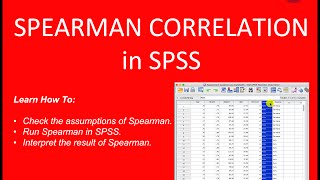 Spearman Correlation SPSS StepByStep Guide [upl. by Herzig]