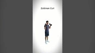 Zottman Curl [upl. by Tnecillim772]