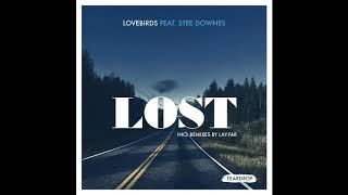 Lovebirds ft Stee Downes  Lost [upl. by Gian]