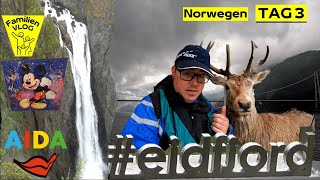 TAG 3 Wir betreten Norwegen  ERLEBNISREICHES Eidfjord 4K  AIDA Prima Reise 62022  VLOG 0173 [upl. by Fidele517]