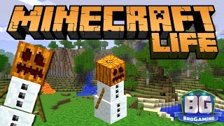 A Whole New World  The Minecraft Life  Bro Gaming [upl. by Itnahsa]