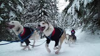 BELLES IMAGES  Etape 5  Pralognan la Vanoise [upl. by Shirberg]