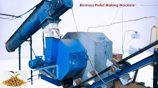 Biomass Pellet Machine  Biomass Pellet Manufacturing Process [upl. by Ahsaz]