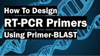 How To Create RealTime PCR Primers Using PrimerBLAST [upl. by Khosrow]