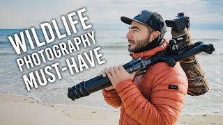 Gimbal Heads A Wildlife Photography MUSTHAVE And How to Use It [upl. by Htebazil]