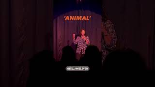 THE JAMIE LEVER SHOW ⚡️ANIMAL [upl. by Adan]