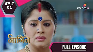 Naagin  Season 1  नागिन  Episode 1 [upl. by Guadalupe]