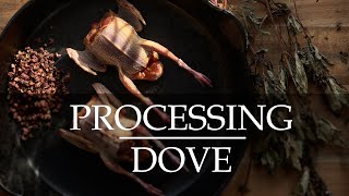 Processing Dove to Cook Whole [upl. by Maryn]