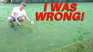 The TRUTH about THIS WHITE STUFF on YOUR Lawn  3 TIPS [upl. by Avruch]