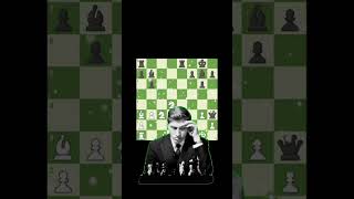 Bobby Fischer Brilliancy shorts chess [upl. by Licec]