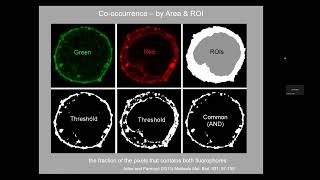 20240213  Colocalization lecture and workshop [upl. by Bobseine]