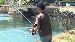 Fishing at Fishguard Harbour in Pembrokeshire [upl. by Aloysia]