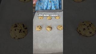 Questionable chocolate chip cookies 🍪 [upl. by Tam]