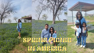 Spring Picnic in America আমেরিকা তে আমাদের প্রথম পিকনিক Picnic of Bengalis in DFW Area [upl. by Nylsirk]