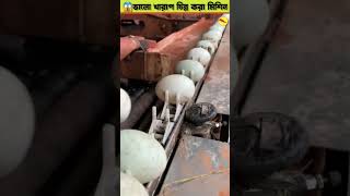 ডিম চেক করার আধুনিক মেশিন  Egg checking machine [upl. by Assilla565]