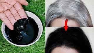 Homemade natural hair dye  How to color hair at home naturally  White hair to black hair naturally [upl. by Annahc]