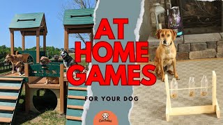 Unleash Fun Games to Keep Your Dog Active [upl. by Nash]