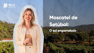 Moscatel de Setubal o sol engarrafado [upl. by Eirrot]