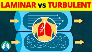 Laminar vs Turbulent Flow in the Lungs EXPLAINED [upl. by Molloy619]