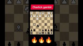 Charlick gambit chess youtubeshorts chesstalkbangla [upl. by Sarina64]